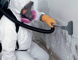 Reliable Cadiz, OH Mold Remediation Solutions